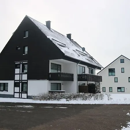 Inviting In Near The Area Apartment Winterberg