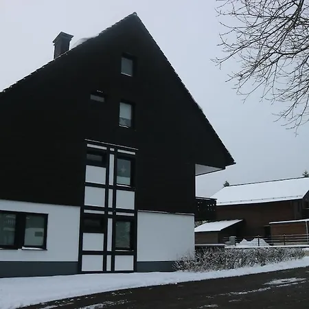 Apartment Inviting In Near The Area Winterberg