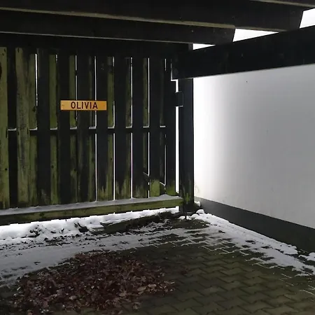Inviting In Near The Area *