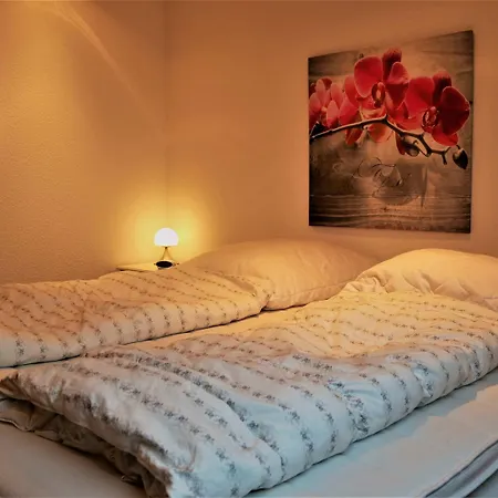 Apartment Ferienwohnung In Winterberg Am Skigebiet Winterberg