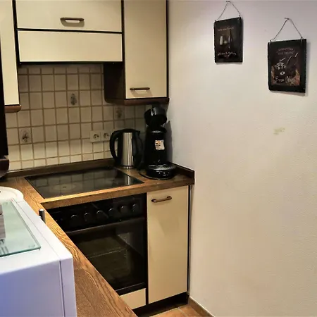 Ferienwohnung In Winterberg Am Skigebiet Apartment *